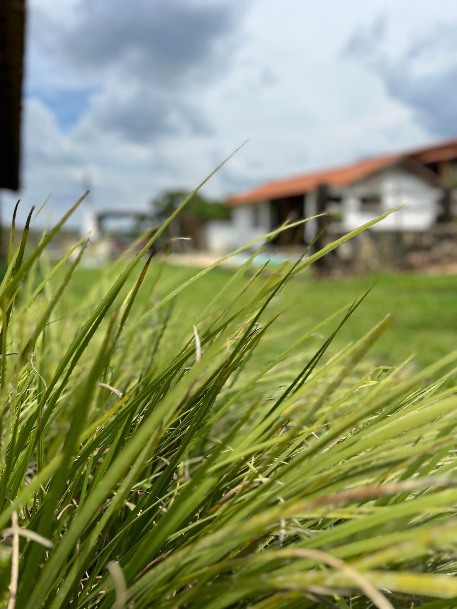Fazenda Do Engenho Hotel Santa Rita do Rio Abaixo Kültér fotó