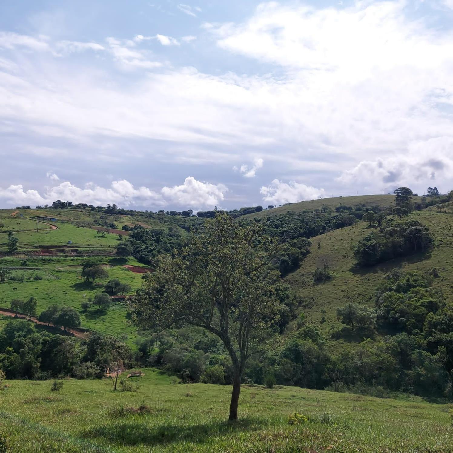 Fazenda Do Engenho Hotel Santa Rita do Rio Abaixo Kültér fotó
