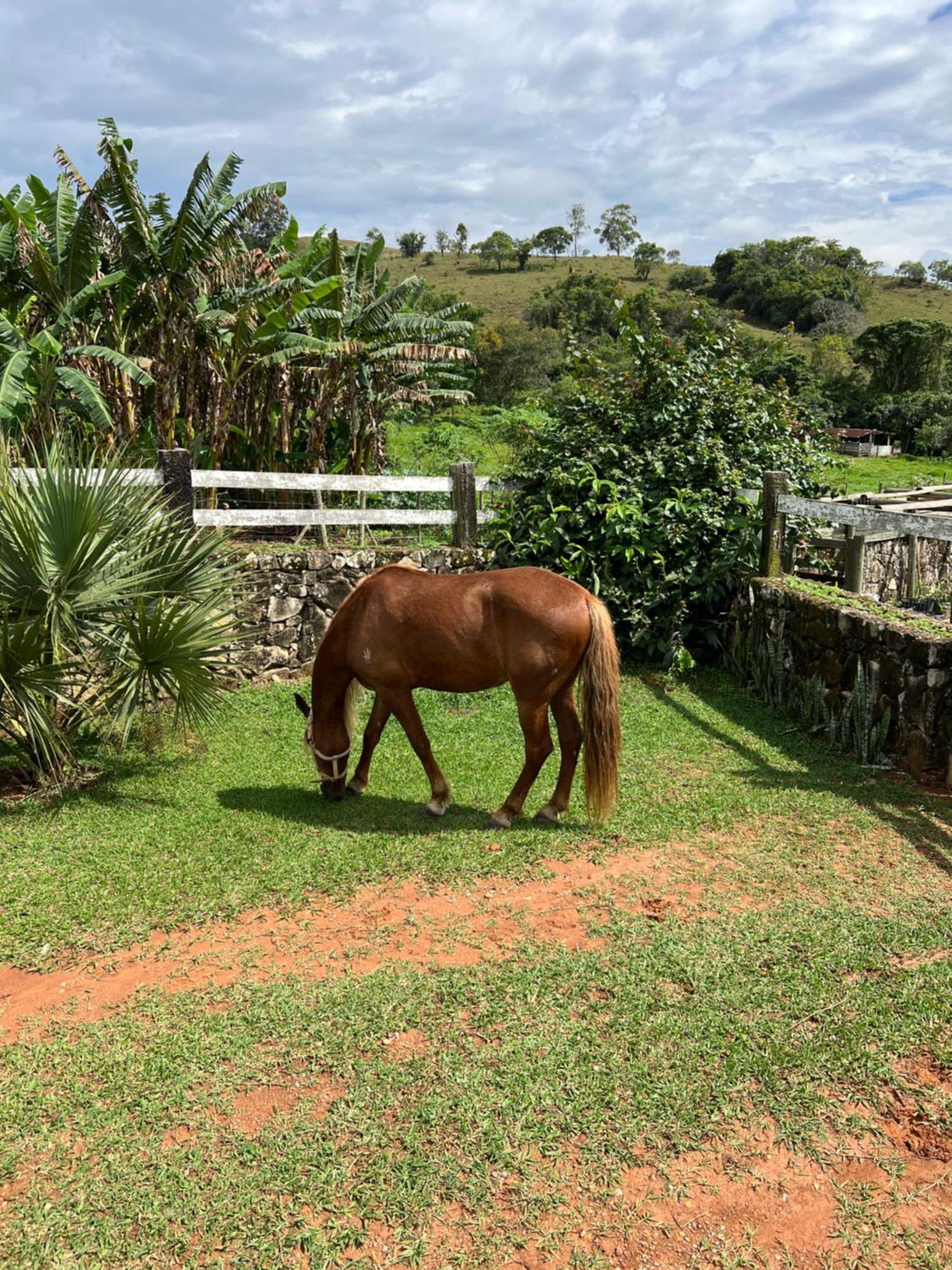 Fazenda Do Engenho Hotel Santa Rita do Rio Abaixo Kültér fotó