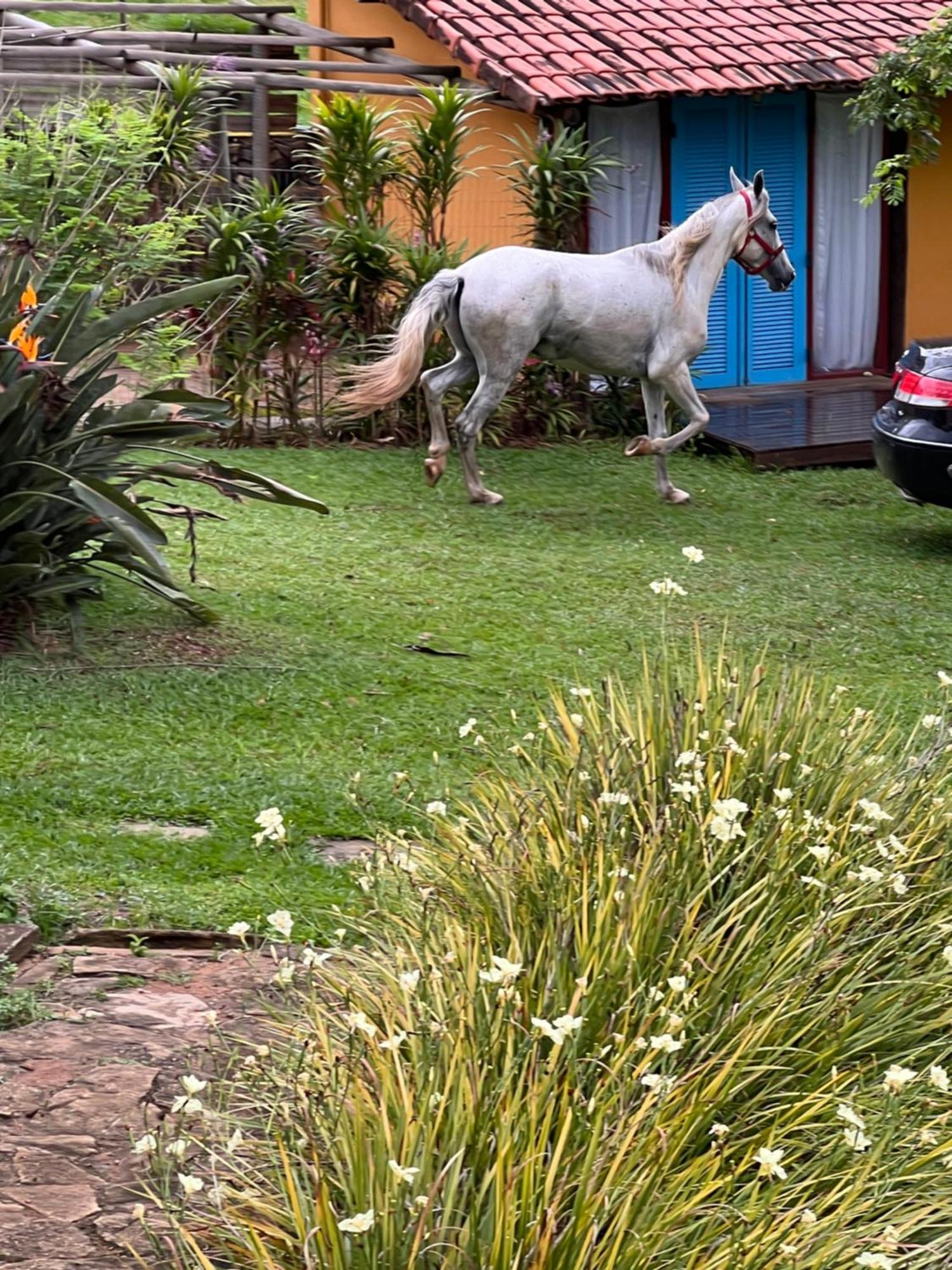 Fazenda Do Engenho Hotel Santa Rita do Rio Abaixo Kültér fotó