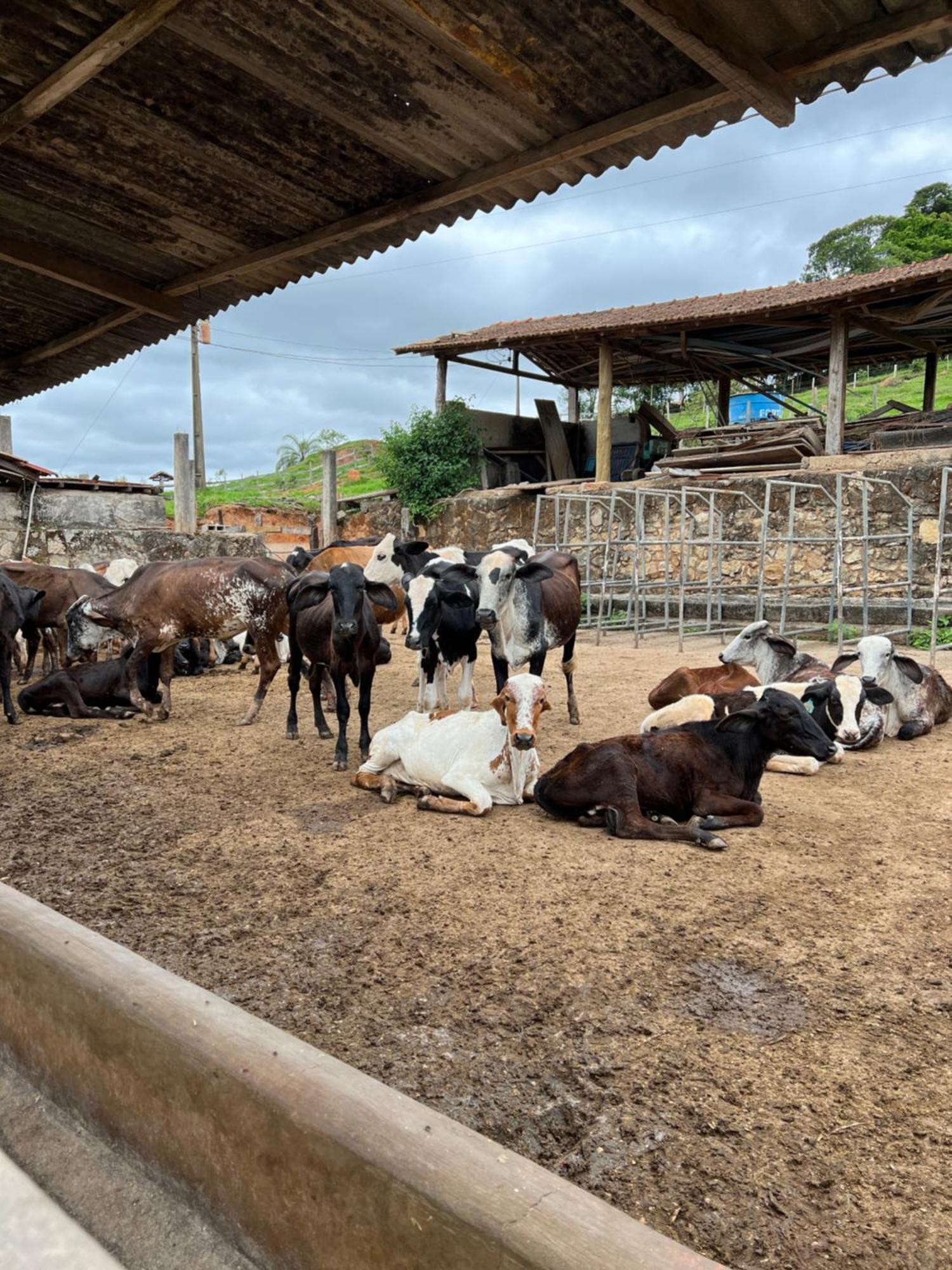 Fazenda Do Engenho Hotel Santa Rita do Rio Abaixo Kültér fotó