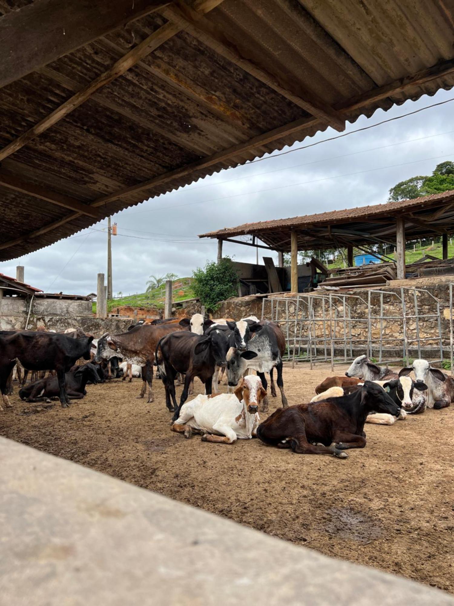 Fazenda Do Engenho Hotel Santa Rita do Rio Abaixo Kültér fotó